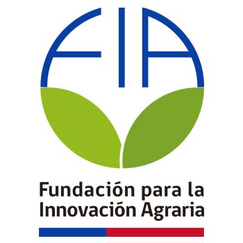 Cinco Valles - melipilla